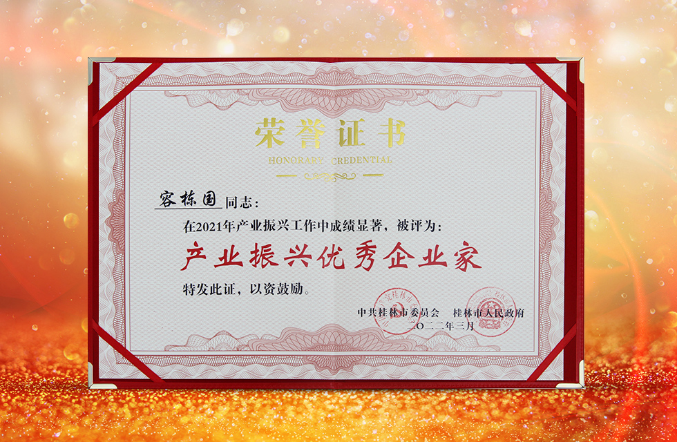 實(shí)力彰顯！全市工業(yè)振興大會(huì)召開(kāi)，桂林鴻程斬獲多項(xiàng)榮譽(yù)