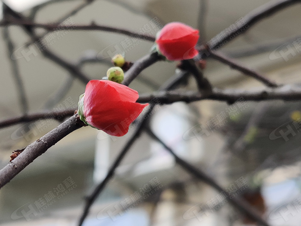 桂林鴻程花團錦簇，滿園春色，邀您一起共賞春景，共商大計！