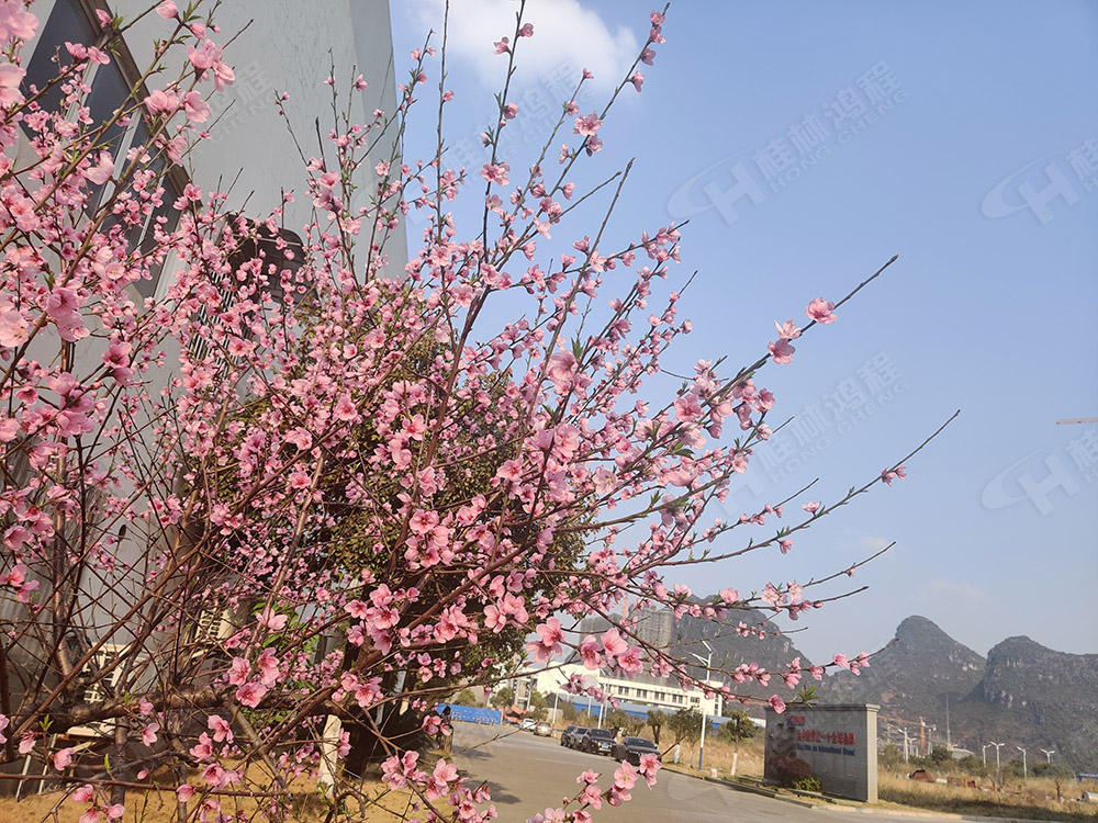 桂林鴻程花團錦簇，滿園春色，邀您一起共賞春景，共商大計！